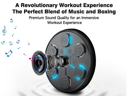 Music Boxing Machine, Boxing Music Workout Machine for Adults Kids, Smart Bluetooth Boxing Music Trainer, Wall Mounted Musical Punching Pad
